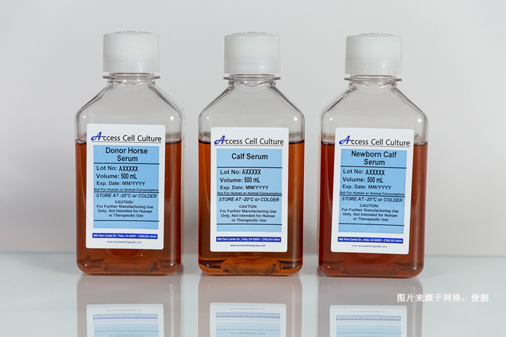 澳大利亞新生牛血清進口報關資料