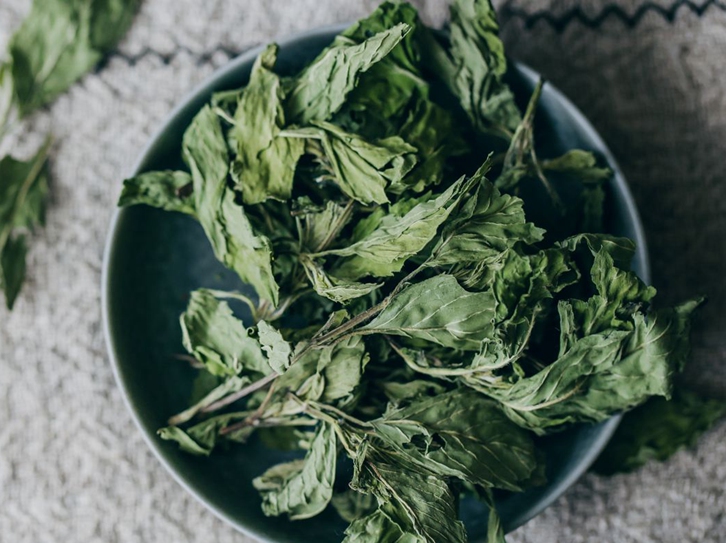 進(jìn)口美國干薄荷葉清關(guān)流程