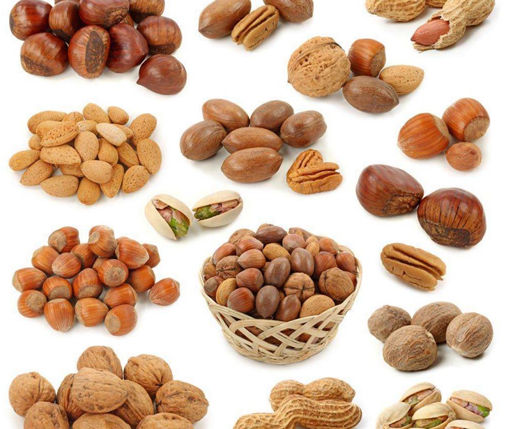 堅果進口報關代理