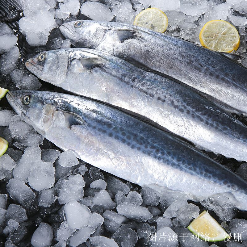 越南進口冰鮮魚清關流程_胡志明港海運報關費用