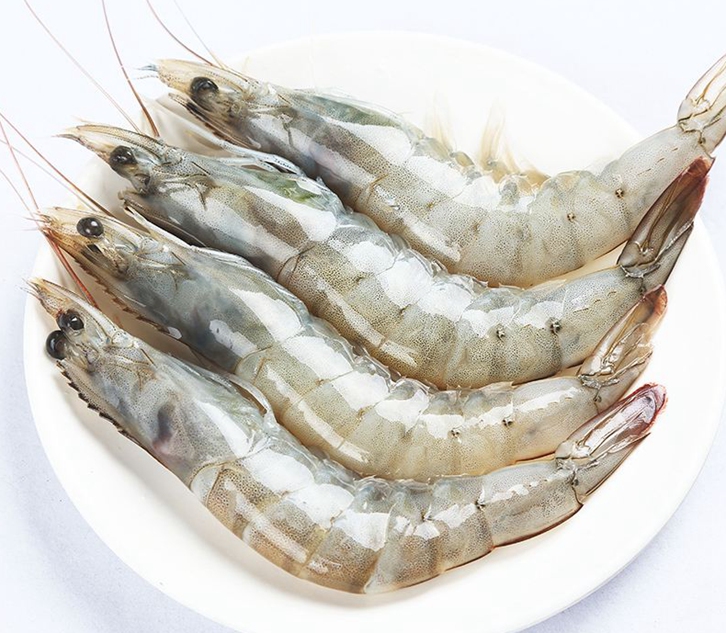 馬來西亞冷凍蝦進口報關公司