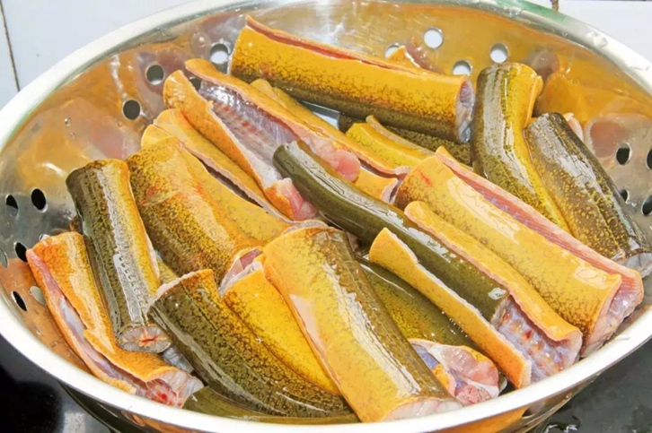 緬甸黃鱔進口報關流程