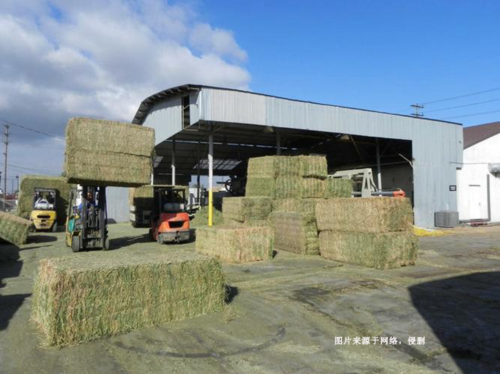 南非苜蓿草進口報關費用