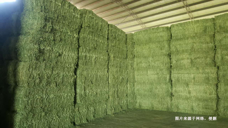 羅馬尼亞苜蓿草進口報關資料