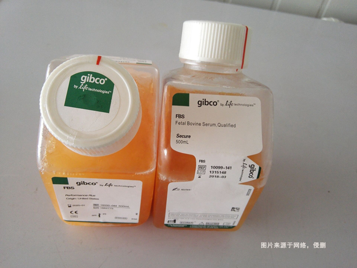 澳大利亞牛血清進口報關資料