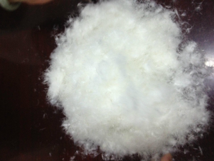 波蘭羽絨進(jìn)口報(bào)關(guān)流程