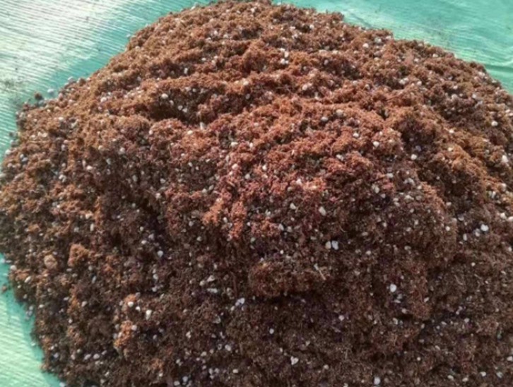 青島進口椰糠報關公司