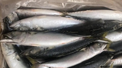 冷凍魚進口報關(guān)流程_進口冷凍魚到國內(nèi)報關(guān)的注意事項