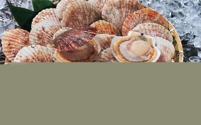 菲律賓扇貝進(jìn)口報關(guān)原來沒那么復(fù)雜