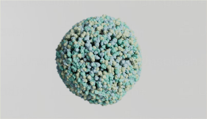 美國(guó)細(xì)胞進(jìn)口報(bào)關(guān)的注意事項(xiàng)_生物制品細(xì)胞清關(guān)流程