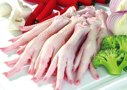 巴西進口雞爪報關怎么操作？進口清關流程