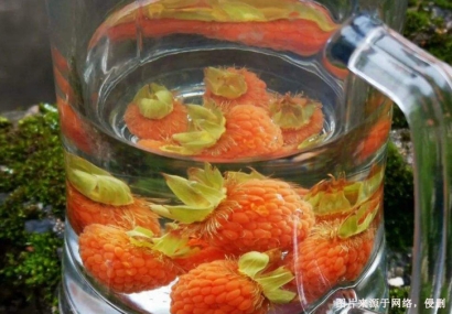 美國(guó)覆盆子籽油進(jìn)口清關(guān)費(fèi)用-工業(yè)植物油報(bào)關(guān)行