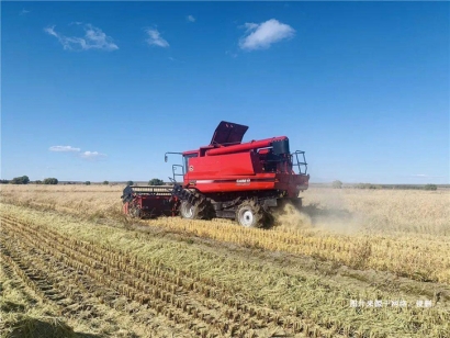 深圳進(jìn)口美國(guó)大型設(shè)備報(bào)關(guān)資料_工程設(shè)備清關(guān)流程