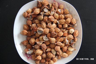 越南豆蔻到深圳港進口清關(guān)操作流程及細節(jié)｜詳解信息