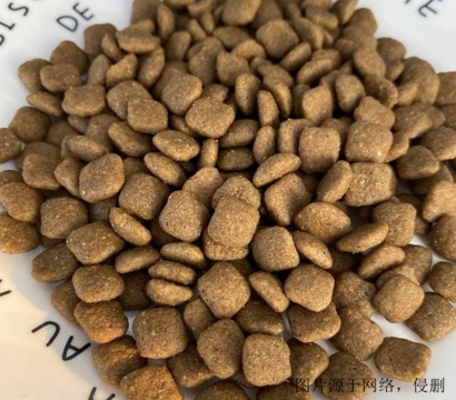 狗糧進口清關(guān)流程怎么操作？廣州狗糧進口報關(guān)資料