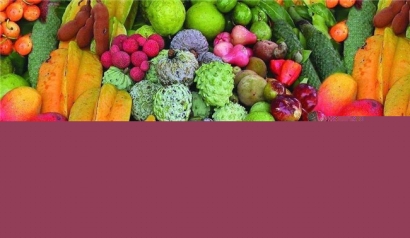 泰國水果進(jìn)口報關(guān)一站式代理服務(wù)公司