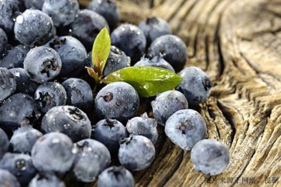 食品進口報關單證，藍莓濃縮粉怎么進口？