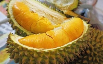 進口馬來西亞榴蓮清關為大家講解3大重要內容