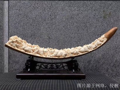 西伯利亞猛犸象牙進口報關流程？猛犸象牙清關資料