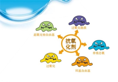 抗氧化劑進(jìn)口報關(guān)流程手續(xù)經(jīng)驗豐富