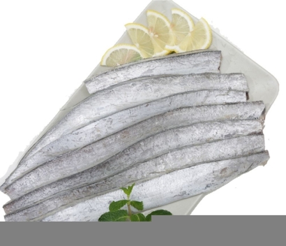 上海進口冷凍帶魚報關資料7樣_塞內加爾帶魚清關