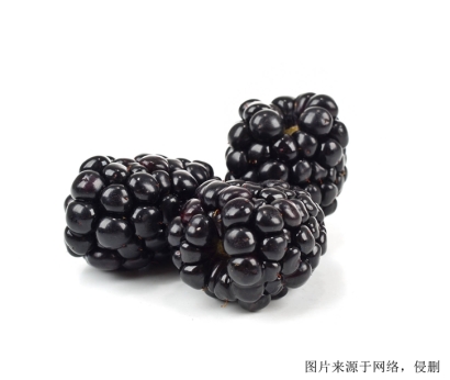 濟南食品進口報關(guān)，伊朗桑葚進口怎么報關(guān)？