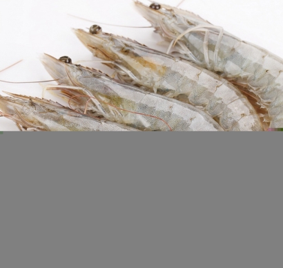 越南冷凍南美白對蝦進口清關(guān)資料到上海外高橋案例