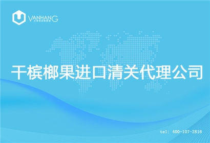 【干檳榔果進口清關代理公司】告訴你干檳榔果進口流程