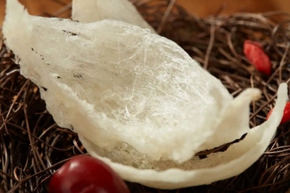 燕窩進口需要什么手續,燕窩進口清關并不難