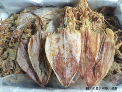 秒懂越南魷魚干進(jìn)口清關(guān)資料_廣州魷魚干報(bào)關(guān)流程