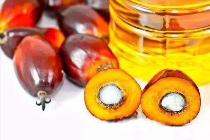 進口印尼棕櫚油報關流程及費用門到門-19年食品報關行