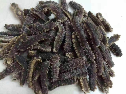 印尼海參進(jìn)口清關(guān)公司告訴你海參進(jìn)口報(bào)關(guān)手續(xù)