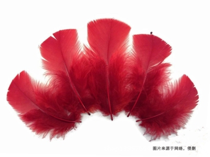 泰國(guó)進(jìn)口火雞毛報(bào)關(guān)流程_鴨毛、鴕鳥毛進(jìn)口關(guān)稅