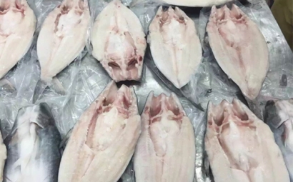 了解！進口越南巴沙魚代理報關報檢流程