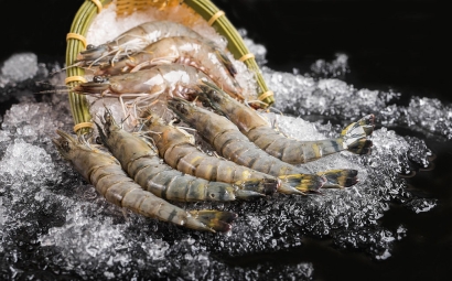 非洲海鮮進(jìn)口清關(guān)