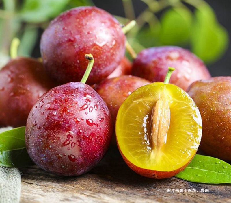 進口智利西梅報關流程