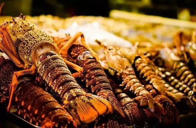 加拿大進(jìn)口波士頓龍蝦報(bào)關(guān) 加拿大進(jìn)口波士頓龍蝦報(bào)關(guān)