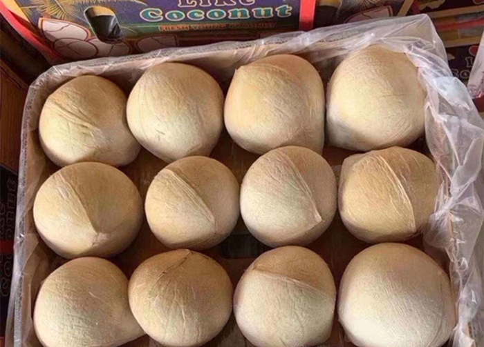 進(jìn)口新鮮椰子報關(guān) 進(jìn)口新鮮椰子報關(guān)