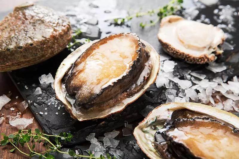 澳大利亞鮑魚進(jìn)口報(bào)關(guān)流程 澳大利亞鮑魚進(jìn)口報(bào)關(guān)流程