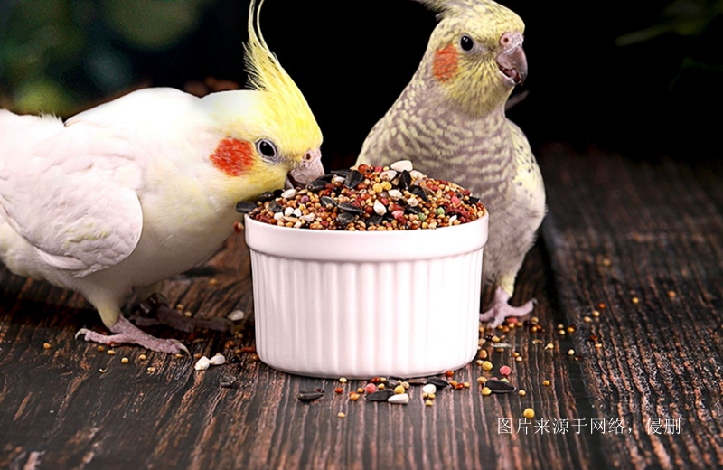 進口加拿大寵物糧食清關(guān)費用 進口加拿大寵物糧食清關(guān)費用