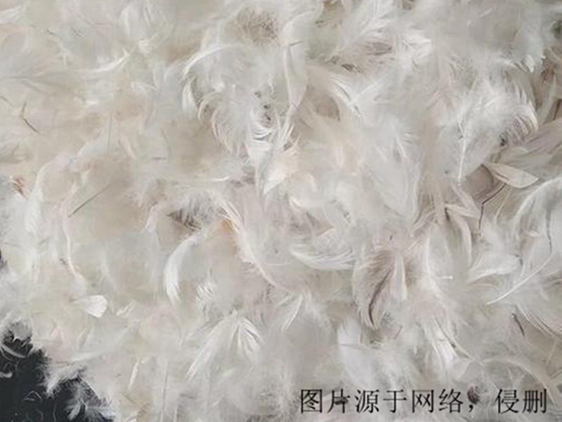 法國羽毛進口報關(guān)流程 法國羽毛進口報關(guān)流程