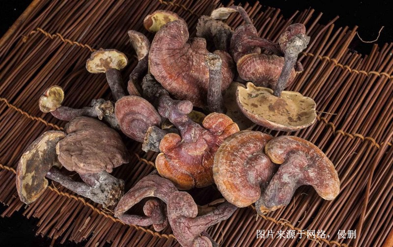 越南靈芝進口報關資料 越南靈芝進口報關資料