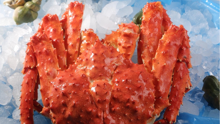 俄羅斯進(jìn)口帝王蟹報關(guān)資料 俄羅斯進(jìn)口帝王蟹報關(guān)資料