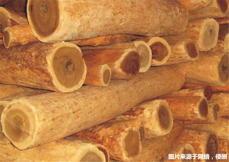 1677750256364916.jpg 進(jìn)口印度檀香木報關(guān)_副本.jpg