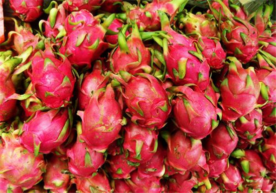 1584063029186450.jpg 越南火龍果進(jìn)口報關(guān)清關(guān)