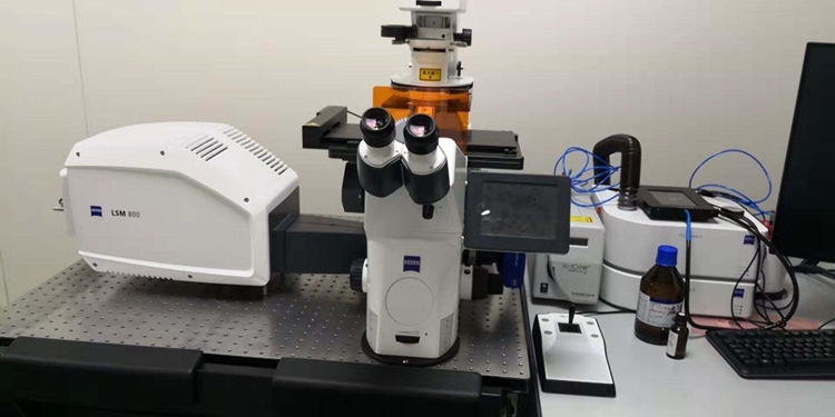 1598236921231527.jpg 環(huán)境科研設(shè)備進(jìn)口報(bào)關(guān)