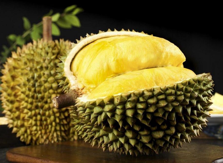 馬來西亞榴蓮進(jìn)口報(bào)關(guān)資料 馬來西亞榴蓮進(jìn)口報(bào)關(guān)資料