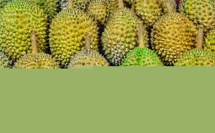 馬來西亞榴蓮進(jìn)口報關(guān)代理公司 馬來西亞榴蓮進(jìn)口報關(guān)