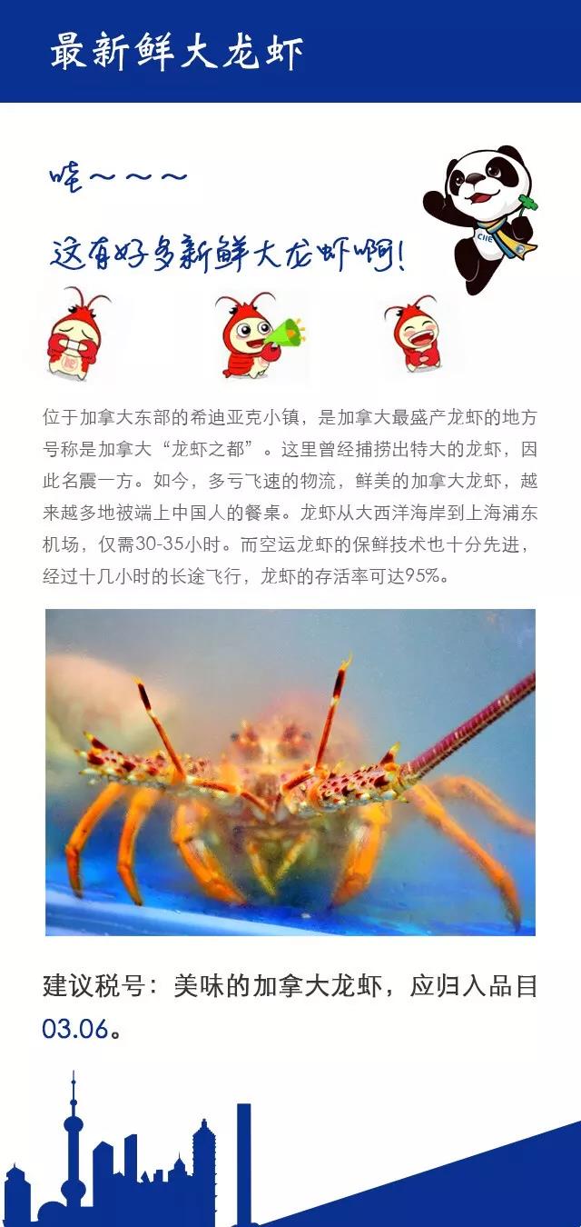 1541743687829082.jpg 5.jpg