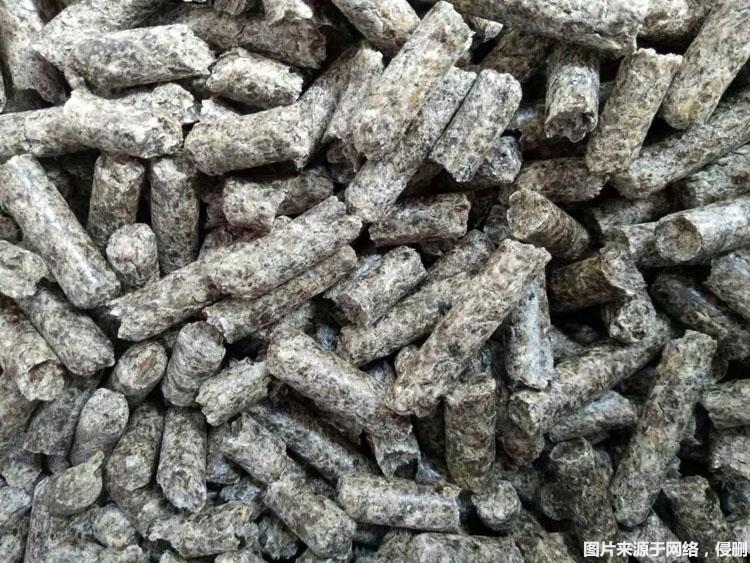 1678097107528828.jpg 俄羅斯進(jìn)口甜菜粕顆粒報關(guān).jpg